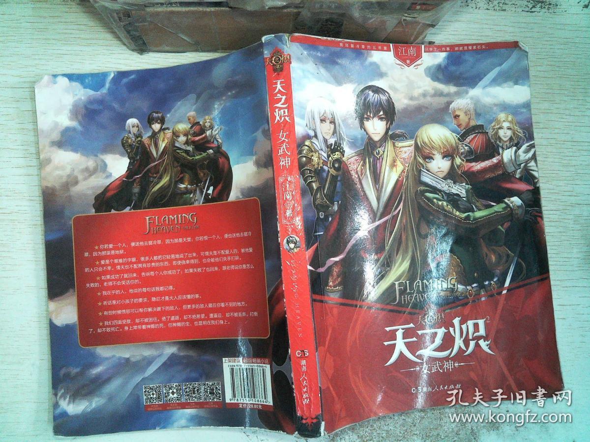 天之炽2:女武神