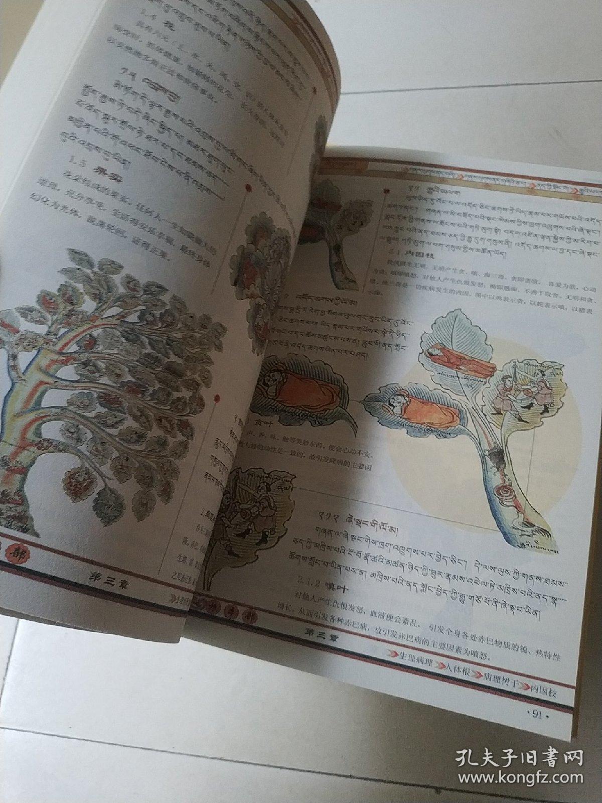 四部医典曼唐详解 : 全6卷 : 藏文_青海省藏医研究院 编译_孔夫子旧书