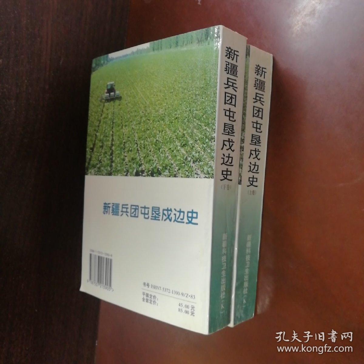 新疆兵团屯垦戍边史上.下卷