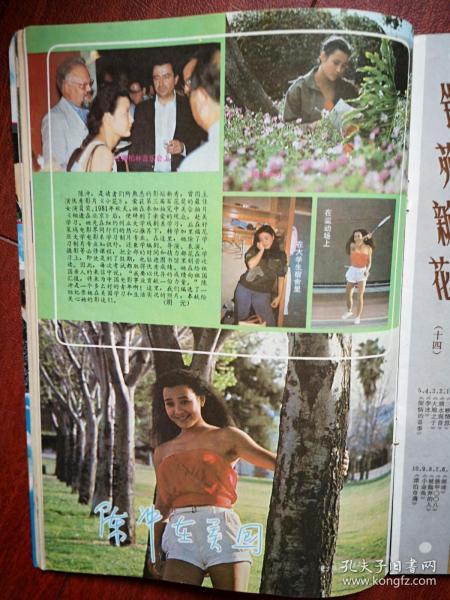 邱建国宗巧珍《南拳王》方舒《花园街五号》刘冬《杜鹃声声》金450