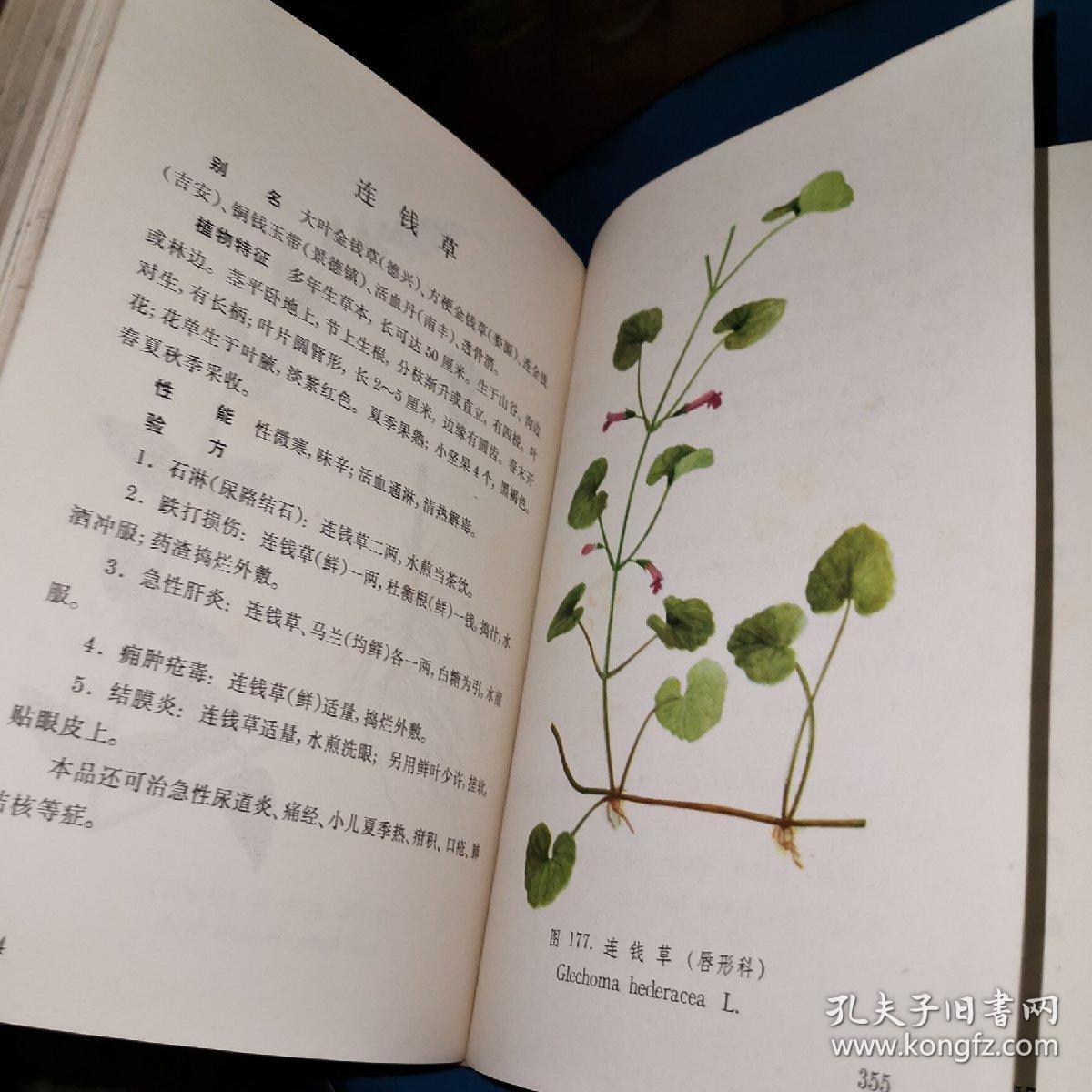 江西草药(软精装,彩色绘图,每种有验方)大32开本,不是那种小64开的,少