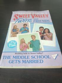 sweet valley twins and Friends