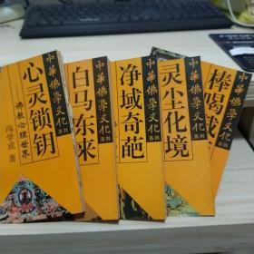 中华佛学文化系列 （5册）  一版一印