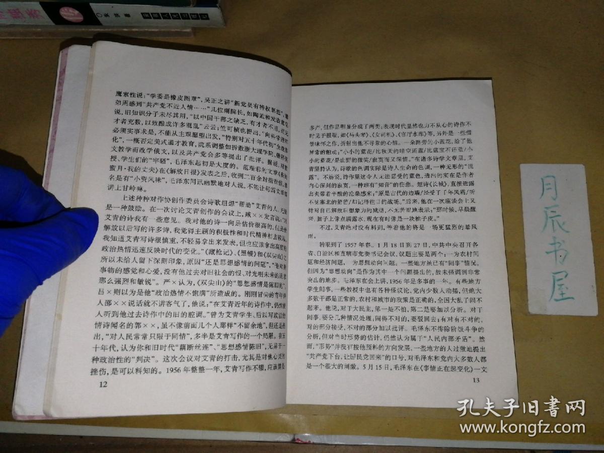 荆棘路:记忆中的反右派运动