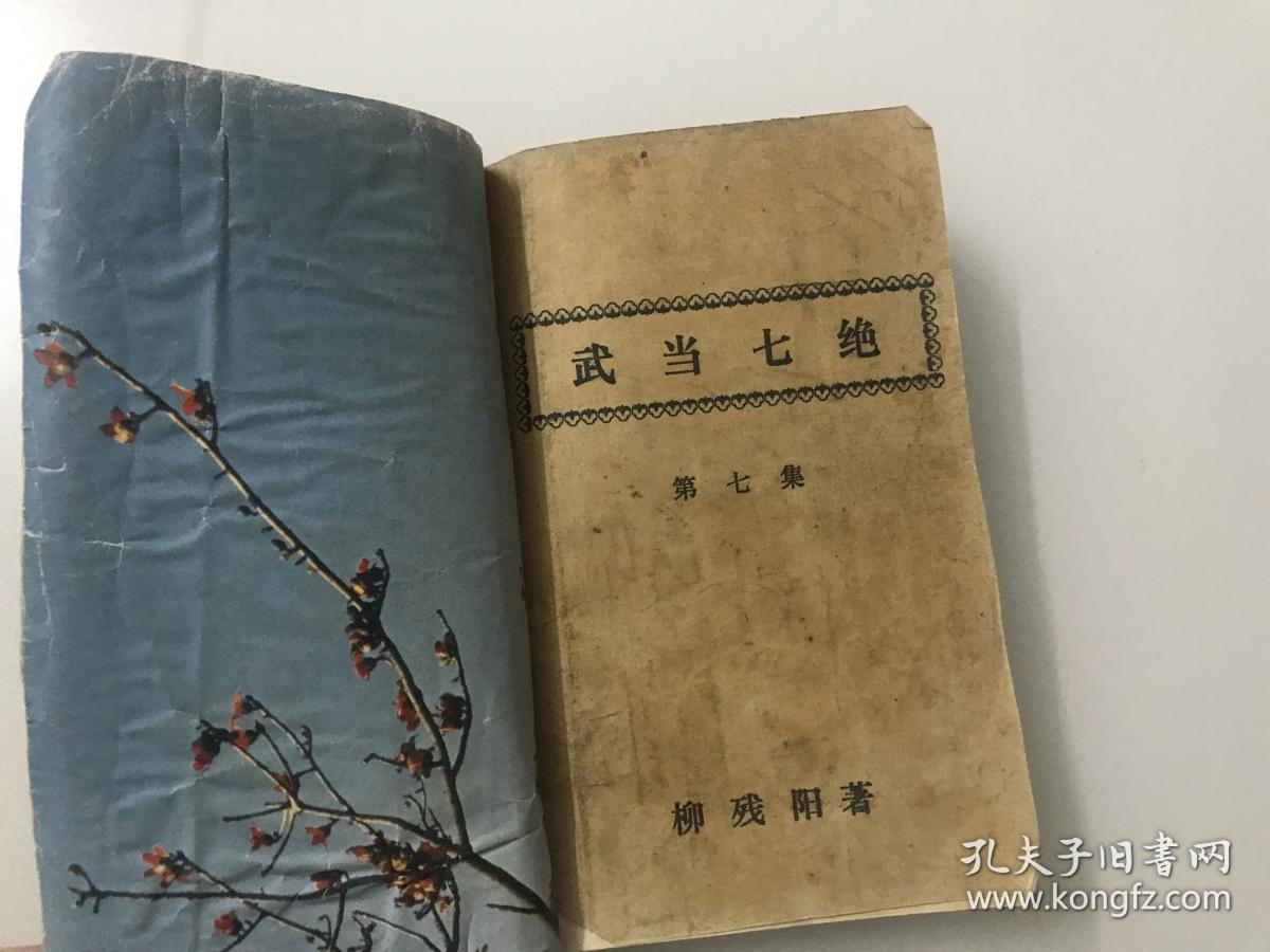 武当七绝(第七集)盖世天蚕功(1-4集)