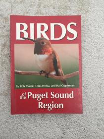 Birds of the Puget Sound Region (Regional Bird Books) Paperback