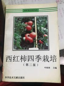 西红柿四季栽培（第二版）  13