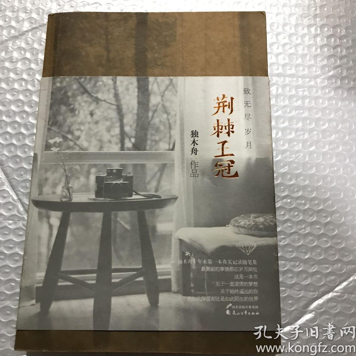 荆棘王冠:致无尽岁月_独木舟 著_孔夫子旧书网