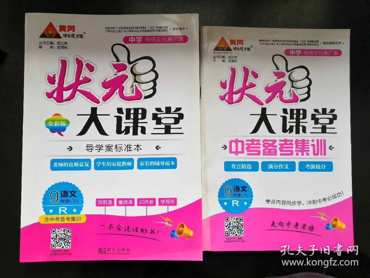 状元大课堂九年级下册语文