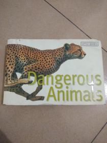 Dangerous Animals 【英文原版 平装】危险的动物
