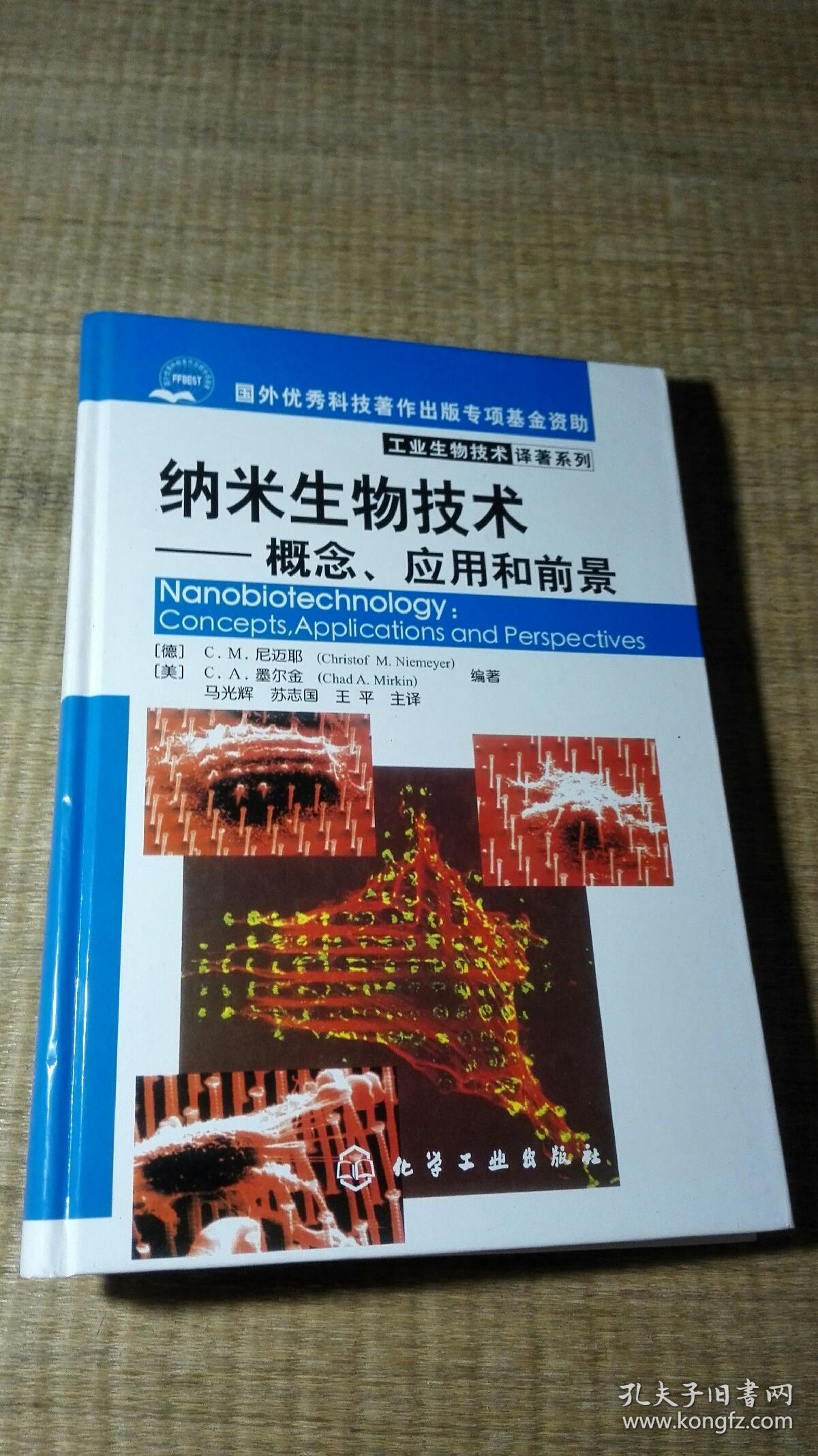 纳米生物技术:概念,应用和前景