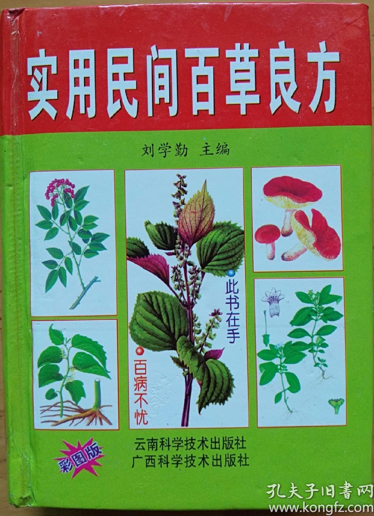 《实用民间百草良方》(彩色版)
