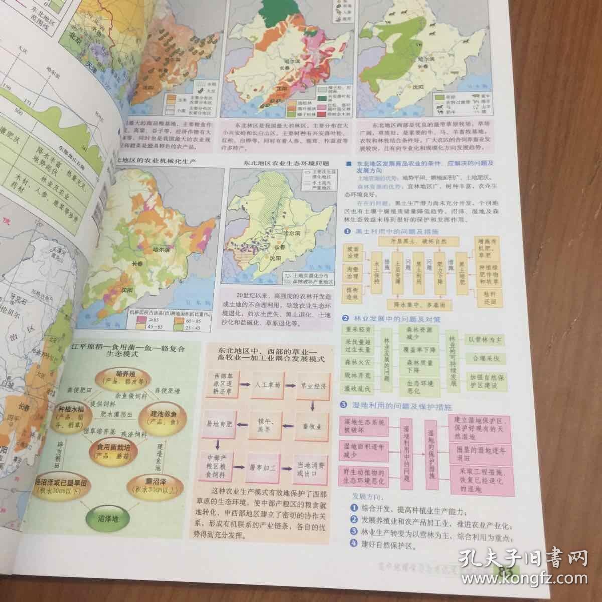 高中地理学习与考试实用地图册