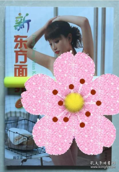 新东方面孔 人体艺术(2)  铜版纸高清彩印,西泠印社出版社