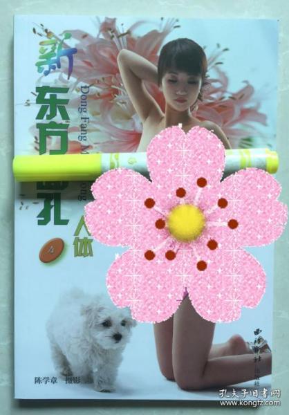 新 东方面孔 人体摄影(4)  铜版纸彩印