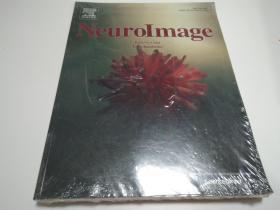 NeuroImage 脑功能神经科学神经影像学科学学术论文期刊2016/15
