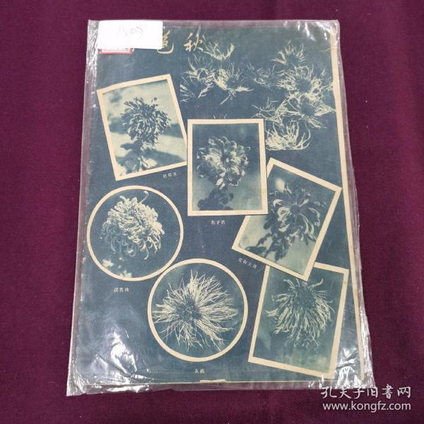 新生周刊 第一卷第三十九期