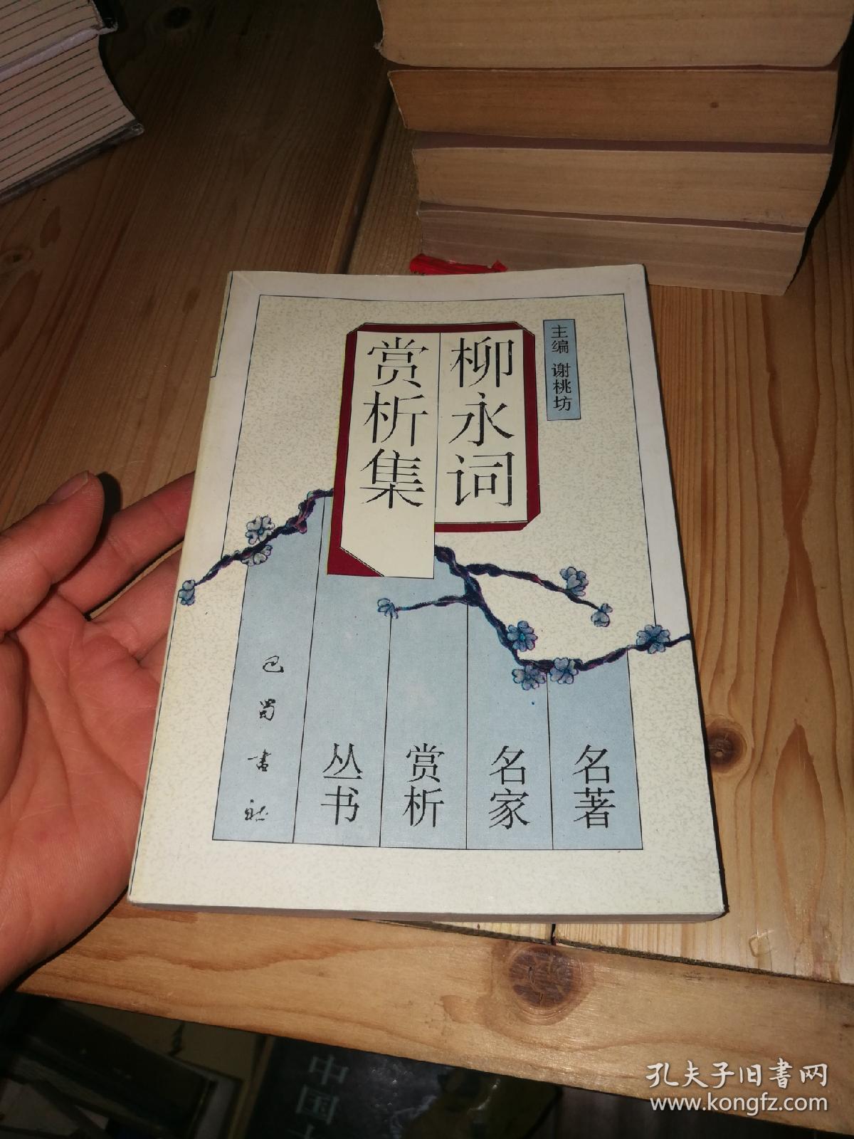 柳永词赏析集