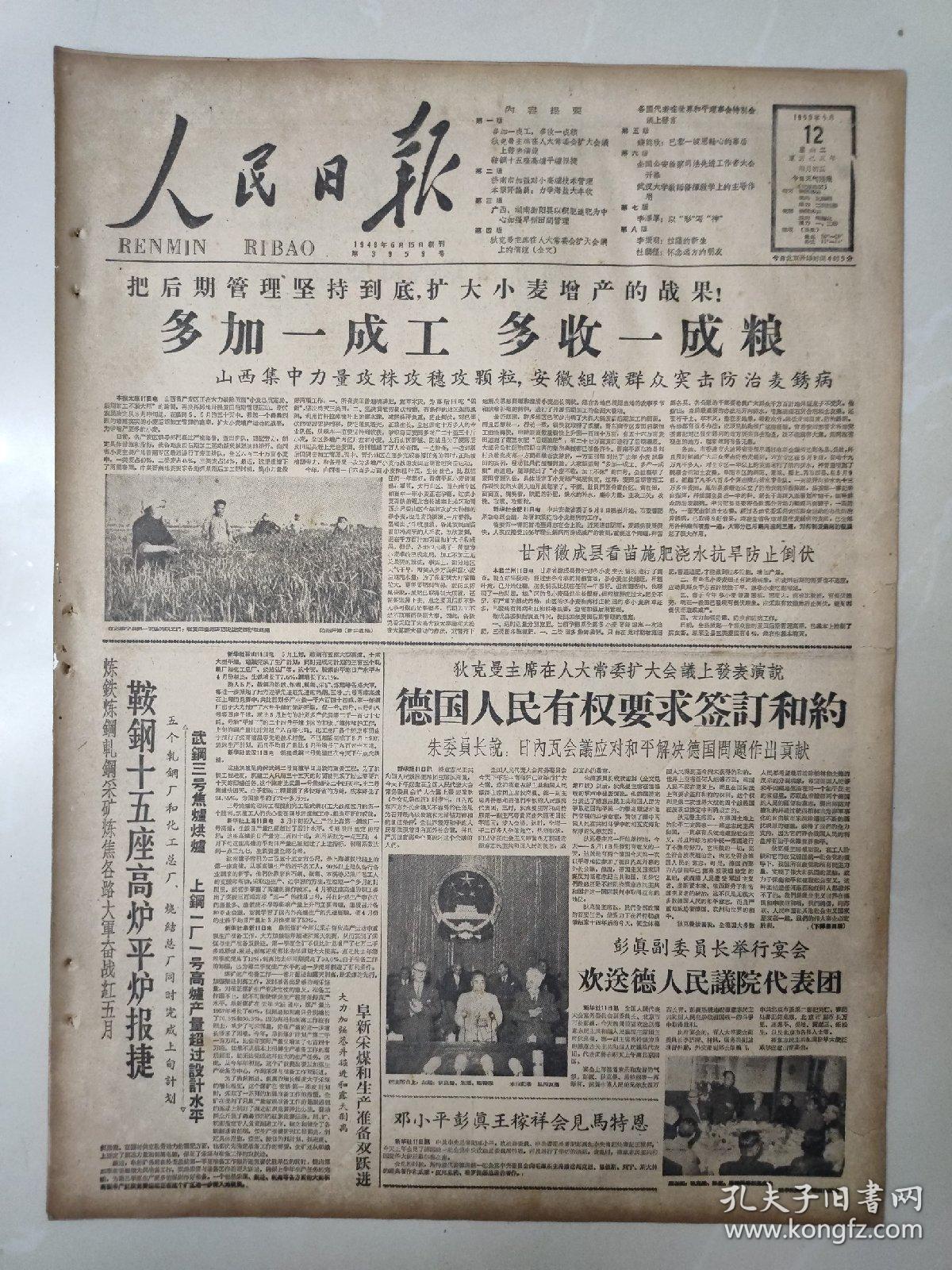 老报纸人民日报1959年5月12日(4开八版)把后期管理坚持到底,扩大小麦