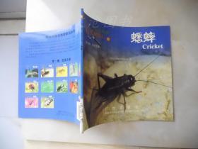 新法布尔自然观察法：第一辑·昆虫王国·蟋蟀