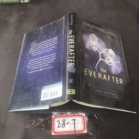 The Everafter [Library Binding]