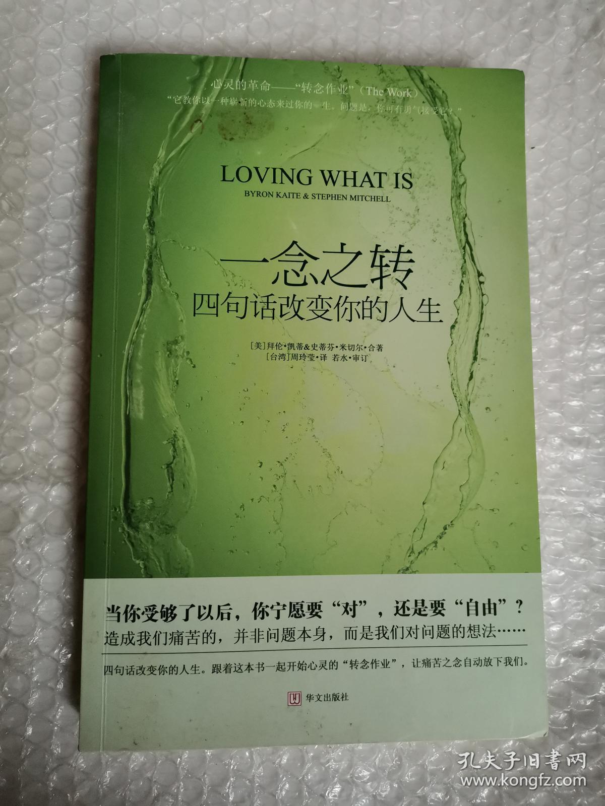 一念之转:四句话改变你的人生_[美]拜伦·凯蒂,[美]史蒂芬·米切尔 著