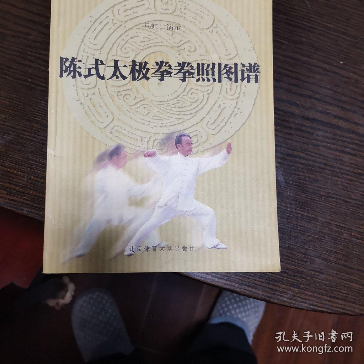陈式太极拳拳照图谱