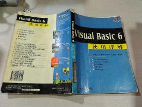 Visual Basic 6使用详解