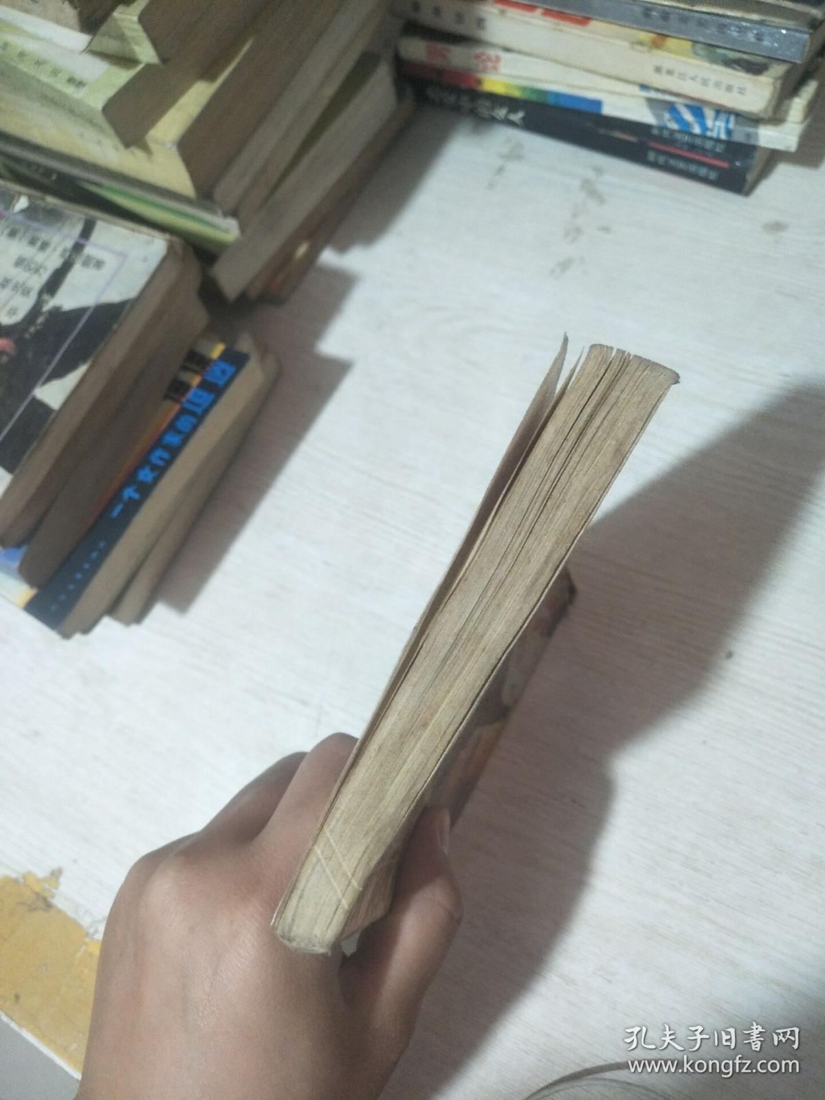 蝴蝶痣姑娘(馆藏)见图