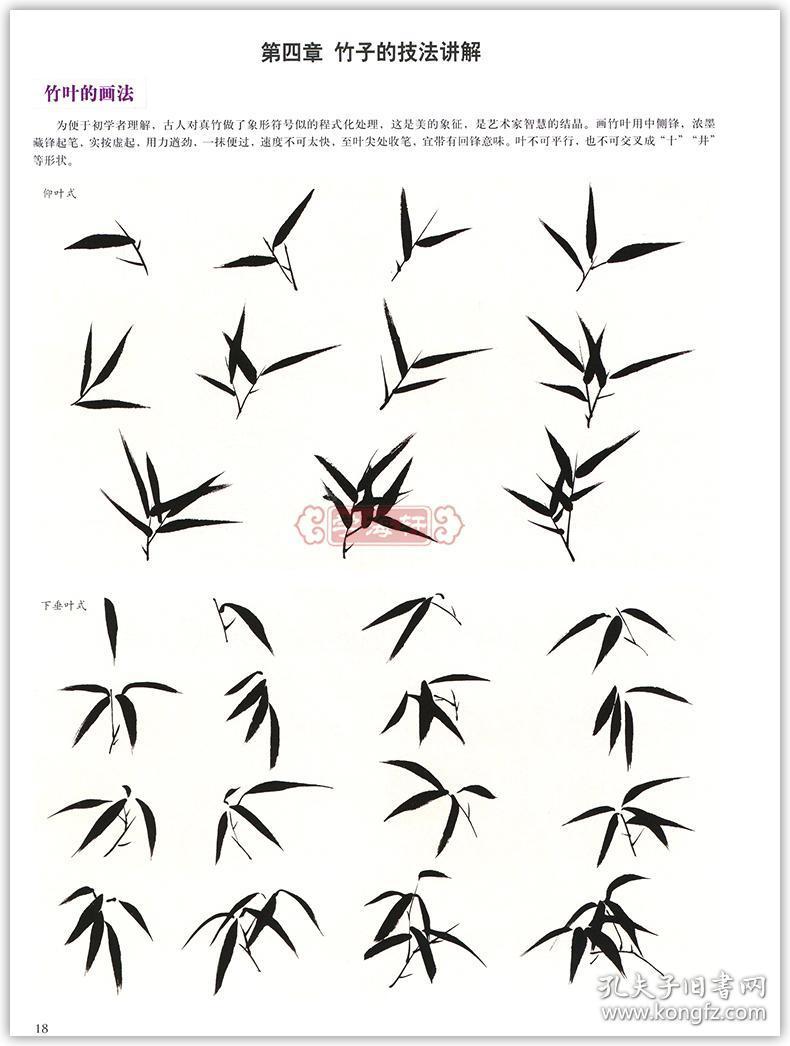 兰竹的画法 中国画技法教学 赵锦杰 赏竹 水墨画新手入门培训教材教程