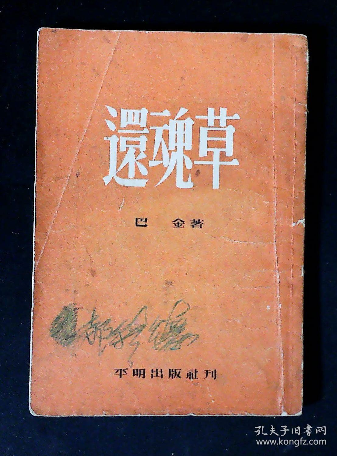 还魂草