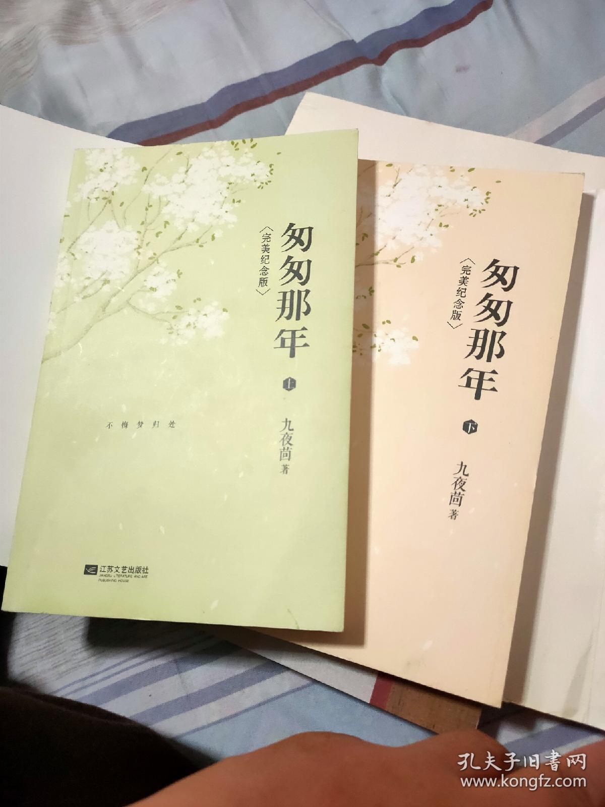 匆匆那年:完美纪念版