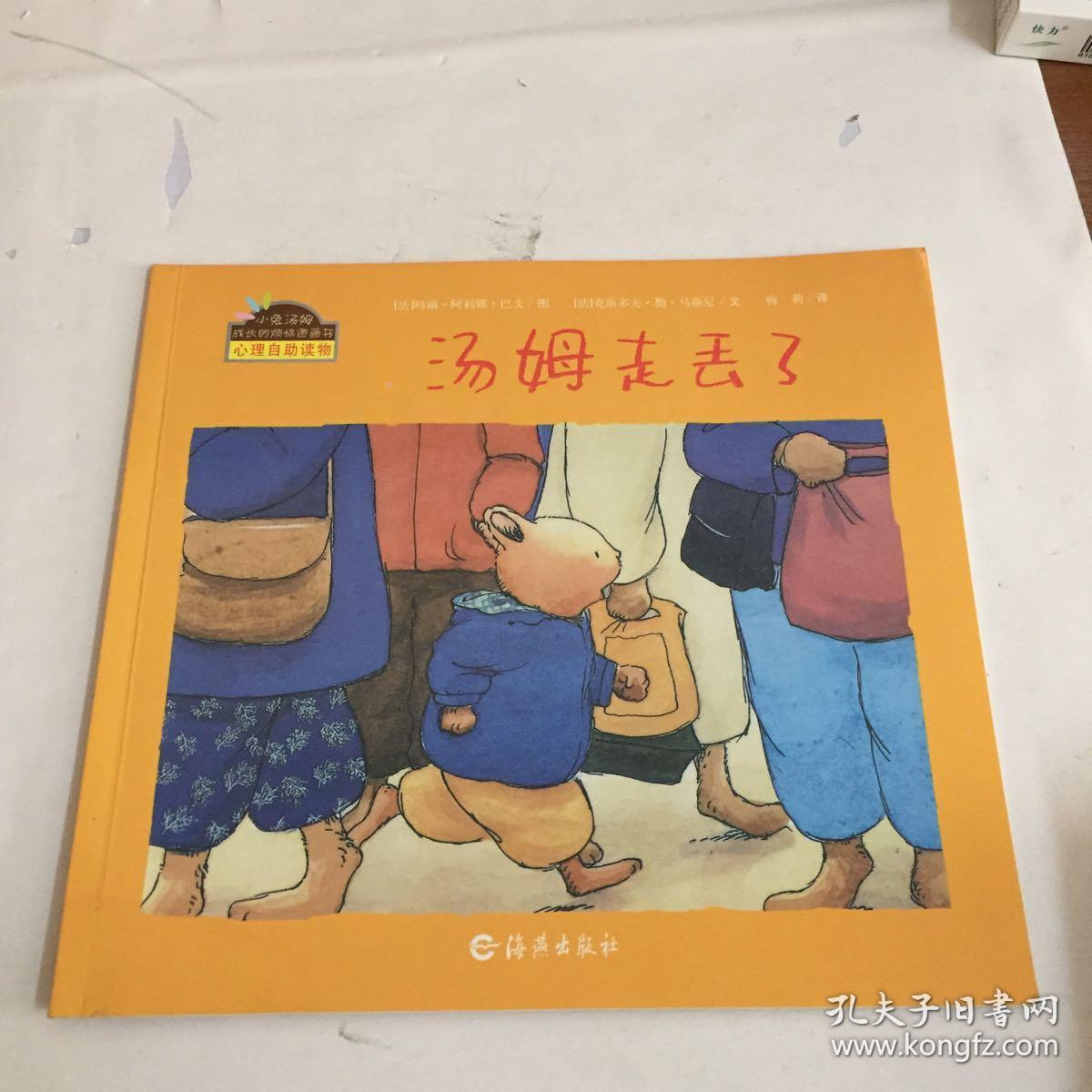 汤姆走丢了_[法]克斯多夫·勒·马斯尼 文;[法]玛莉-阿丽娜·巴文 图