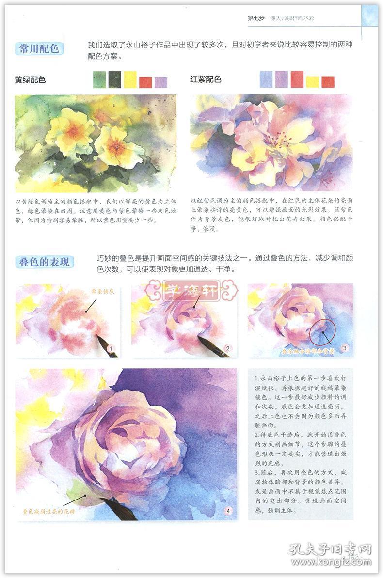 飞乐鸟 成人学生水彩画基础绘画临摹美术书籍 工具介绍色彩知识线稿平