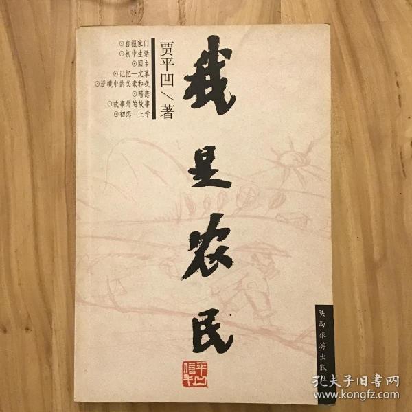 《我是农民》"陕地书"老贾作品