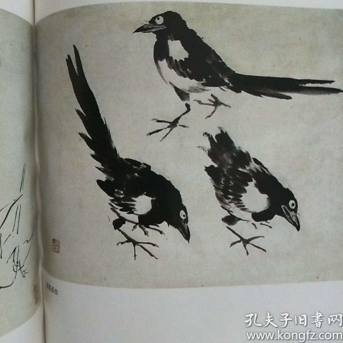 王雪涛教学画稿