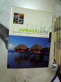 Jungle luxe  丛林奢华 8开    01