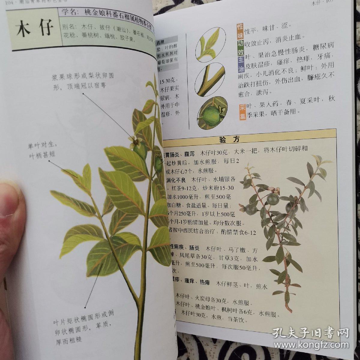 潮汕青草药彩色全书 第一册 1