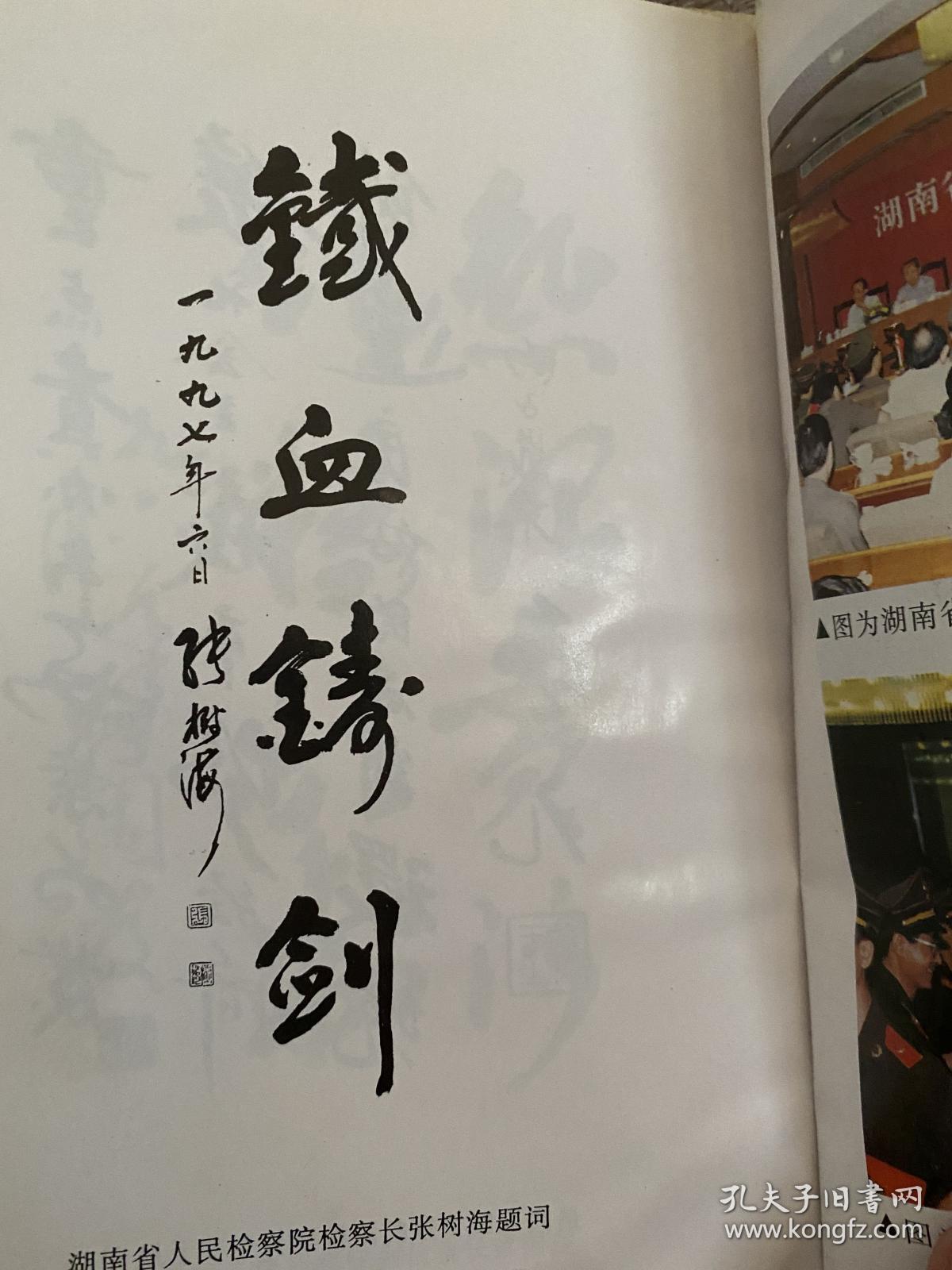 铁血铸剑:湖南省十佳反贪局长写真_李志辉_孔夫子旧书网