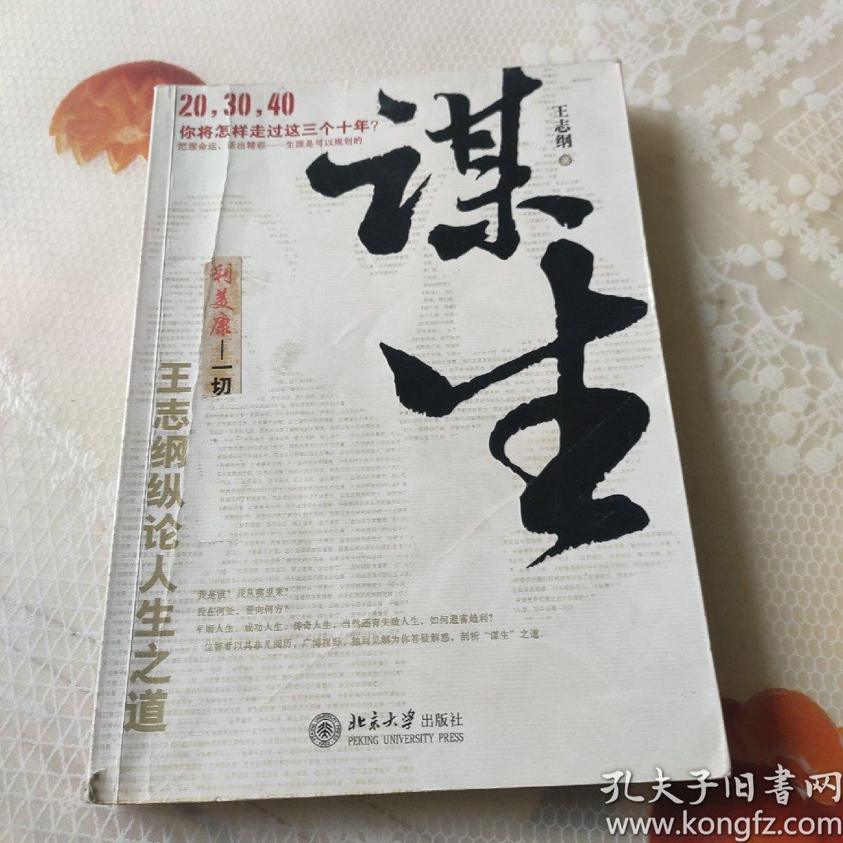 谋生: 王志纲纵论人生之道