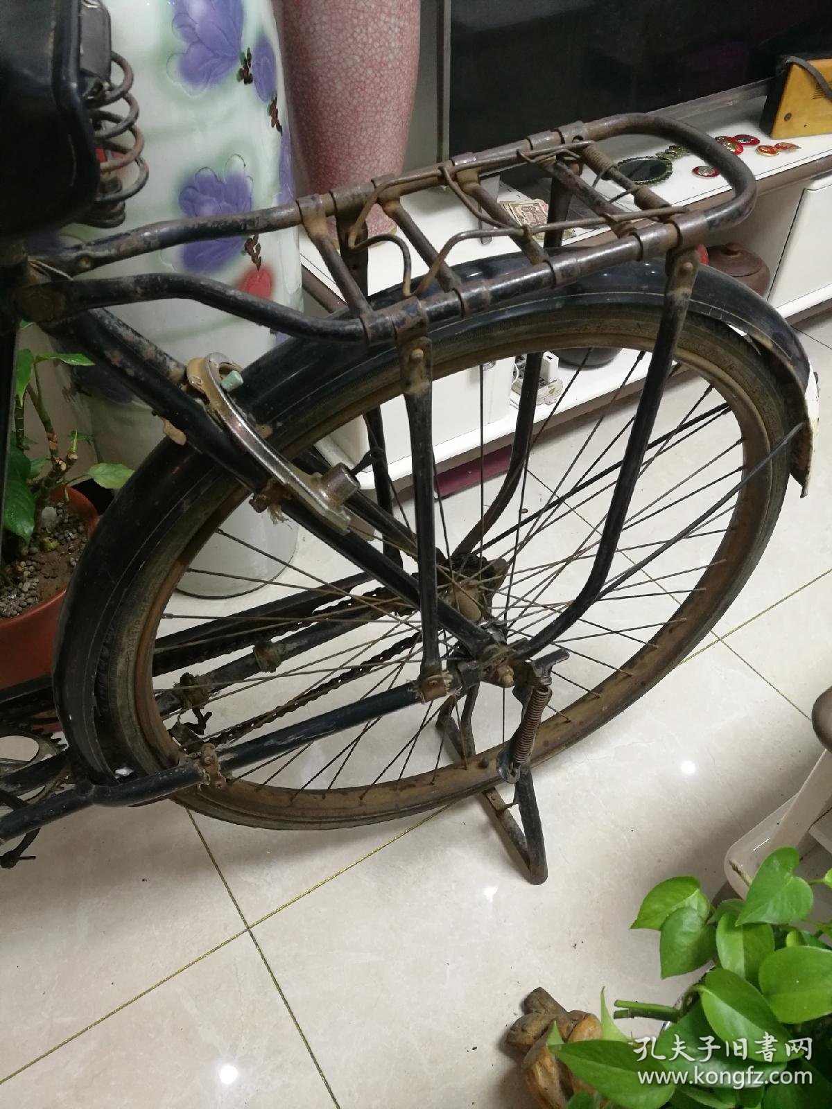 飞鸽集团自行车二厂精品(斯普瑞克28自行车)来自德国的风采-少见
