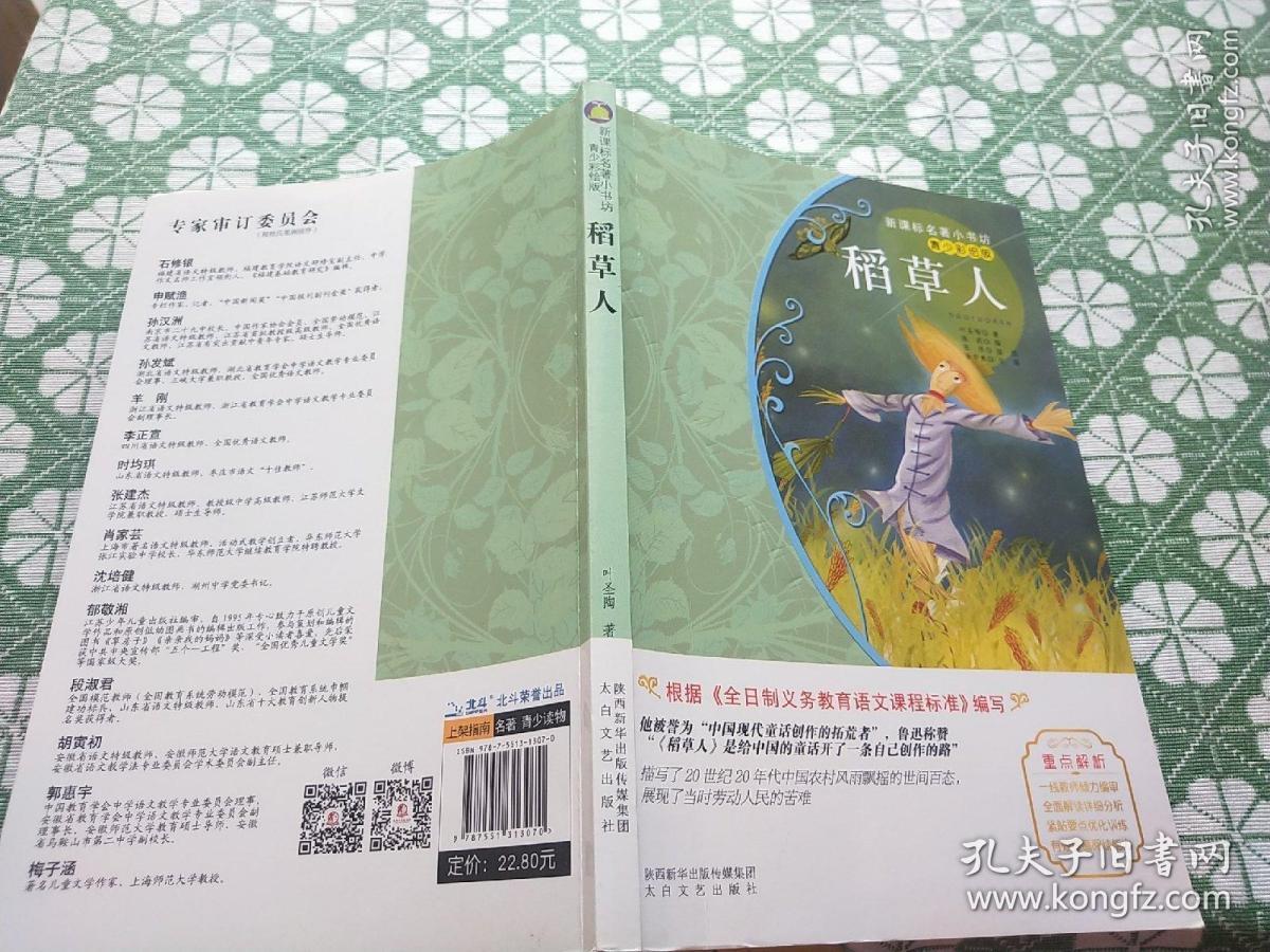 稻草人(青少彩绘版 新课标名著小书坊)