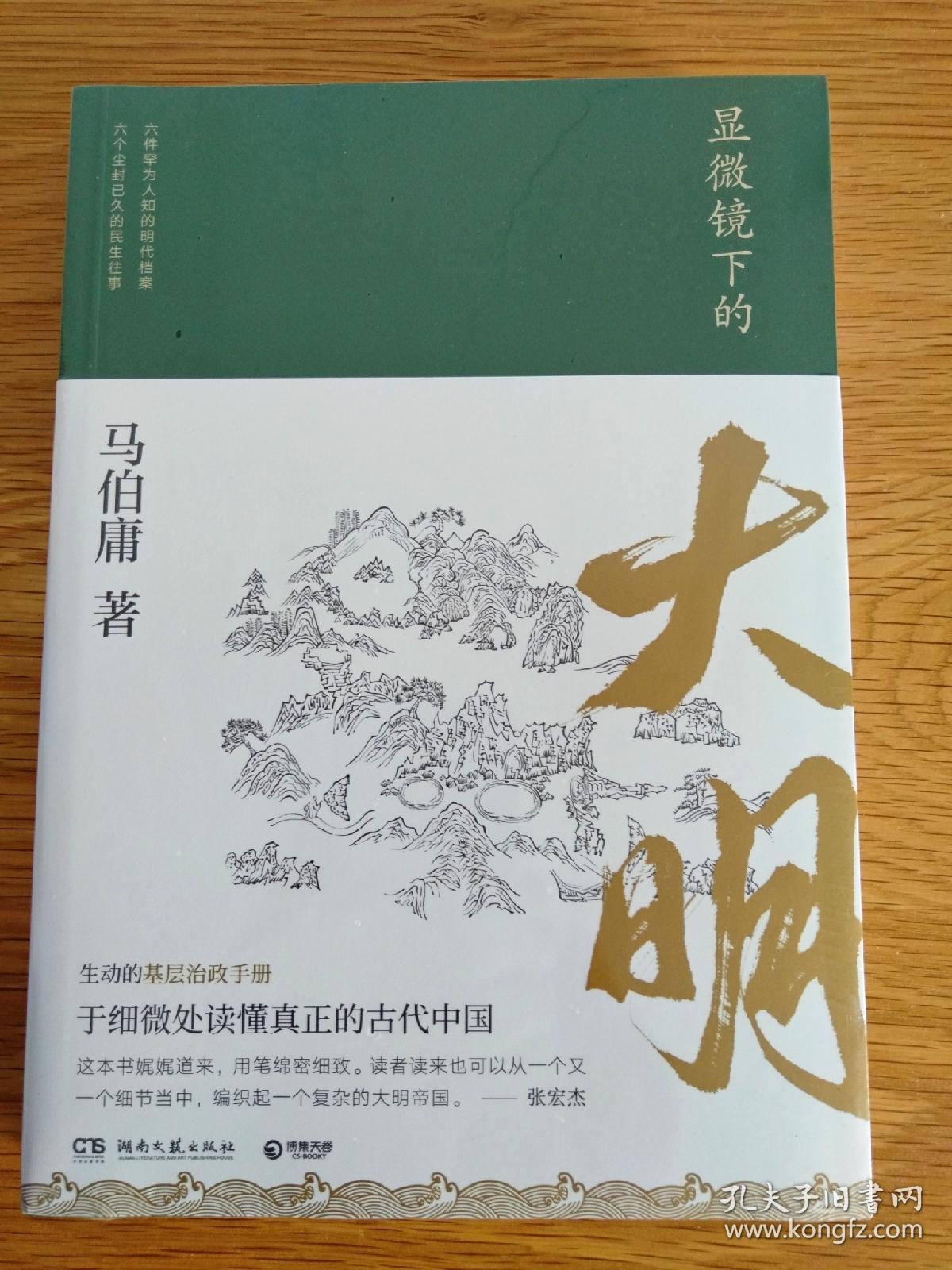 显微镜下的大明(马伯庸全新作品)