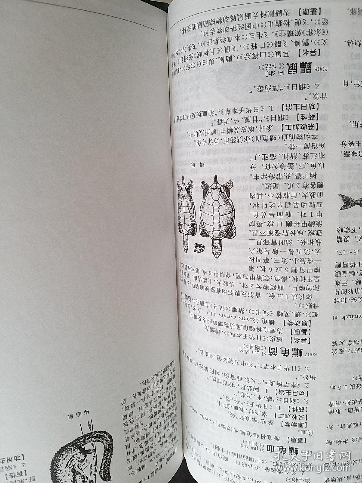 中药大辞典(全2册)_孔夫子旧书网 中药大辞典(全2册)_孔夫子旧书网