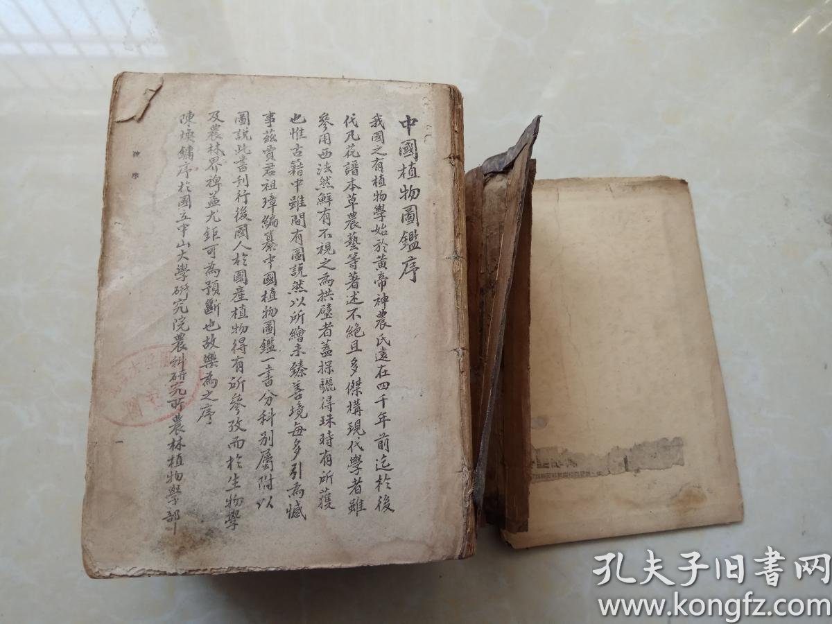 中国植物图鉴 民国精装本_贾祖璋 贾祖珊 编_孔夫子旧书网
