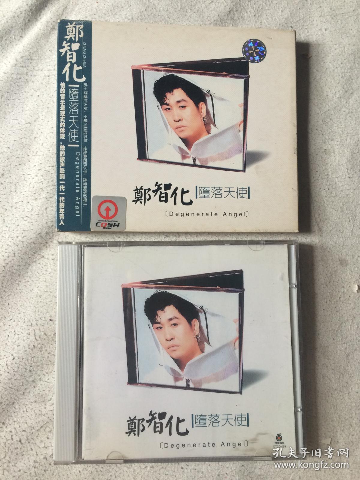 郑智化堕落天使收录游戏人间堕落的天使年轻时代水手星星