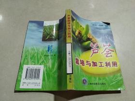 芦荟栽培与加工利用