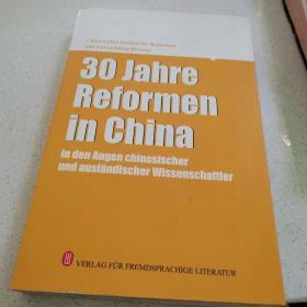 中外学者眼中的中国改革30年（英文版）