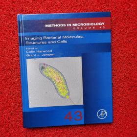 Methods in microbiology vol.43 imaging bacterial molecules structures and cells