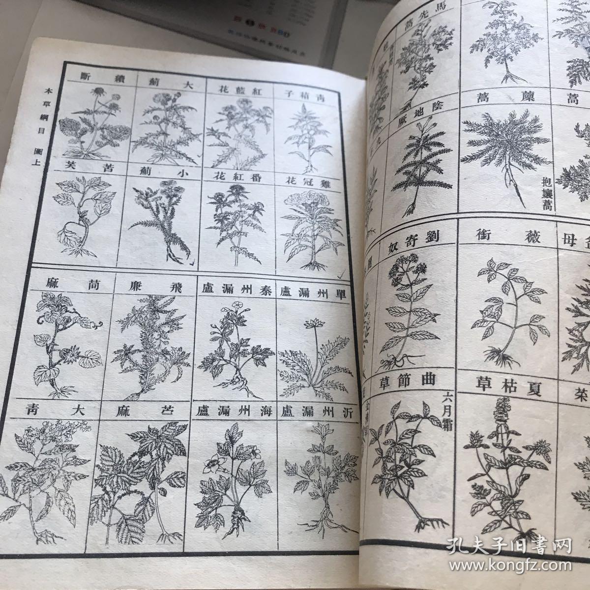 本草纲目(上下) 明·李时珍编,根具明朝线装老本草纲目医书影印版